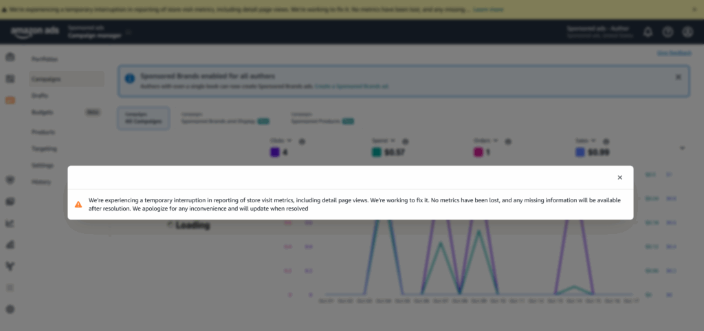 Amazon Ad Dashboard Error Message